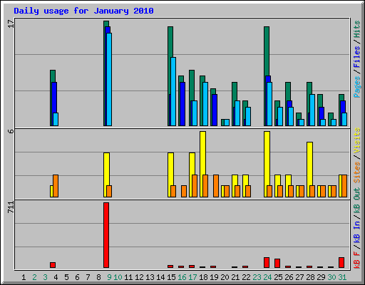Daily usage for January 2010