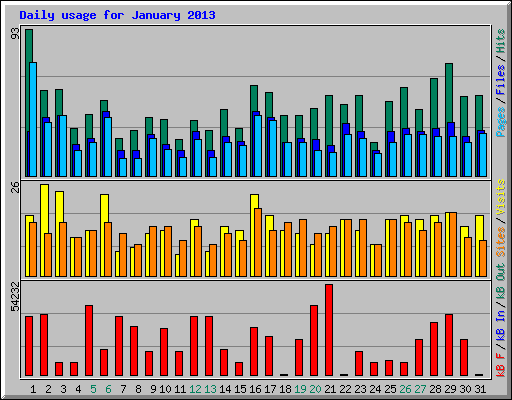 Daily usage for January 2013