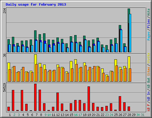 Daily usage for February 2013
