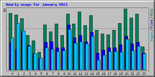 Hourly usage for January 2013