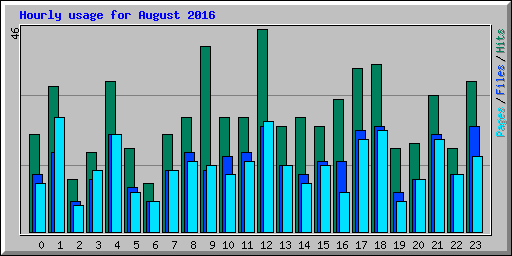 Hourly usage for August 2016